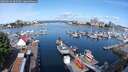 ./images/victoria/wharf/20250619/wharf20250619_093507M.jpg