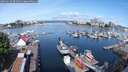 ./images/victoria/wharf/20250619/wharf20250619_094510M.jpg