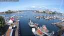 ./images/victoria/wharf/20250619/wharf20250619_100012M.jpg