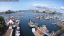 ./images/victoria/wharf/20250619/wharf20250619_104511M.jpg