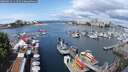 ./images/victoria/wharf/20250619/wharf20250619_111510M.jpg