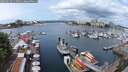 ./images/victoria/wharf/20250619/wharf20250619_114511M.jpg