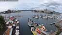 ./images/victoria/wharf/20250619/wharf20250619_124511M.jpg