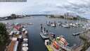 ./images/victoria/wharf/20250619/wharf20250619_125011M.jpg