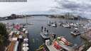 ./images/victoria/wharf/20250619/wharf20250619_135510M.jpg
