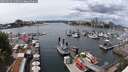./images/victoria/wharf/20250619/wharf20250619_140012M.jpg