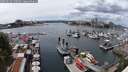 ./images/victoria/wharf/20250619/wharf20250619_140509M.jpg
