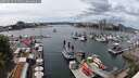 ./images/victoria/wharf/20250619/wharf20250619_141511M.jpg