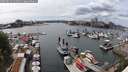 ./images/victoria/wharf/20250619/wharf20250619_144511M.jpg