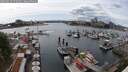 ./images/victoria/wharf/20250619/wharf20250619_154011M.jpg