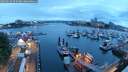./images/victoria/wharf/20250620/wharf20250620_050507M.jpg