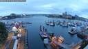 ./images/victoria/wharf/20250620/wharf20250620_051009M.jpg