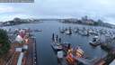 ./images/victoria/wharf/20250620/wharf20250620_052009M.jpg