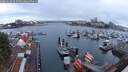 ./images/victoria/wharf/20250620/wharf20250620_052508M.jpg