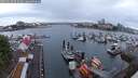 ./images/victoria/wharf/20250620/wharf20250620_053009M.jpg