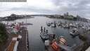 ./images/victoria/wharf/20250620/wharf20250620_060510M.jpg