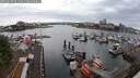 ./images/victoria/wharf/20250620/wharf20250620_061510M.jpg