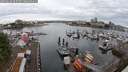 ./images/victoria/wharf/20250620/wharf20250620_063509M.jpg