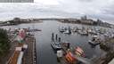 ./images/victoria/wharf/20250620/wharf20250620_070511M.jpg