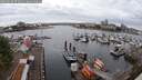./images/victoria/wharf/20250620/wharf20250620_071011M.jpg