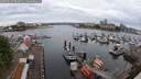 ./images/victoria/wharf/20250620/wharf20250620_072011M.jpg