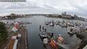 ./images/victoria/wharf/20250620/wharf20250620_072510M.jpg
