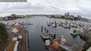 ./images/victoria/wharf/20250620/wharf20250620_073011M.jpg