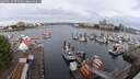 ./images/victoria/wharf/20250620/wharf20250620_074009M.jpg