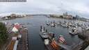 ./images/victoria/wharf/20250620/wharf20250620_075011M.jpg