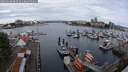 ./images/victoria/wharf/20250620/wharf20250620_083510M.jpg