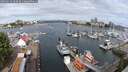 ./images/victoria/wharf/20250620/wharf20250620_090509M.jpg