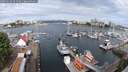 ./images/victoria/wharf/20250620/wharf20250620_091010M.jpg