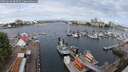 ./images/victoria/wharf/20250620/wharf20250620_092510M.jpg