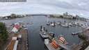 ./images/victoria/wharf/20250620/wharf20250620_093509M.jpg
