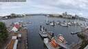 ./images/victoria/wharf/20250620/wharf20250620_094011M.jpg