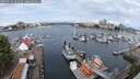 ./images/victoria/wharf/20250620/wharf20250620_094511M.jpg