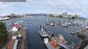 ./images/victoria/wharf/20250620/wharf20250620_095011M.jpg
