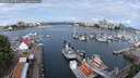 ./images/victoria/wharf/20250620/wharf20250620_095509M.jpg