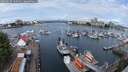 ./images/victoria/wharf/20250620/wharf20250620_100014M.jpg