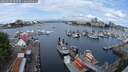 ./images/victoria/wharf/20250620/wharf20250620_102510M.jpg