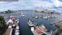 ./images/victoria/wharf/20250620/wharf20250620_105009M.jpg