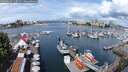 ./images/victoria/wharf/20250620/wharf20250620_110013M.jpg
