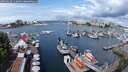 ./images/victoria/wharf/20250620/wharf20250620_112008M.jpg