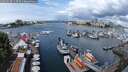 ./images/victoria/wharf/20250620/wharf20250620_113510M.jpg