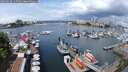 ./images/victoria/wharf/20250620/wharf20250620_115510M.jpg