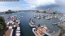 ./images/victoria/wharf/20250620/wharf20250620_121009M.jpg