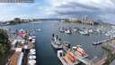 ./images/victoria/wharf/20250620/wharf20250620_123510M.jpg