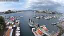 ./images/victoria/wharf/20250620/wharf20250620_124011M.jpg