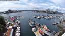./images/victoria/wharf/20250620/wharf20250620_140512M.jpg