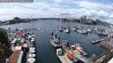 ./images/victoria/wharf/20250620/wharf20250620_141511M.jpg